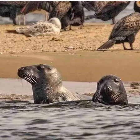 Mulberry House Holiday home Gdansk