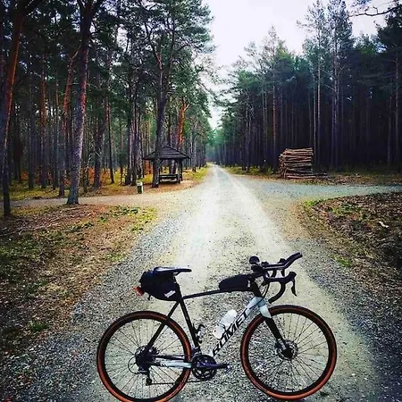 Prázdninový dům Mulberry House