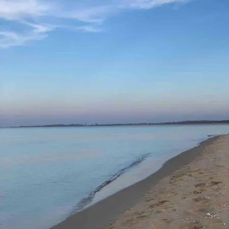 Mulberry House Gdansk