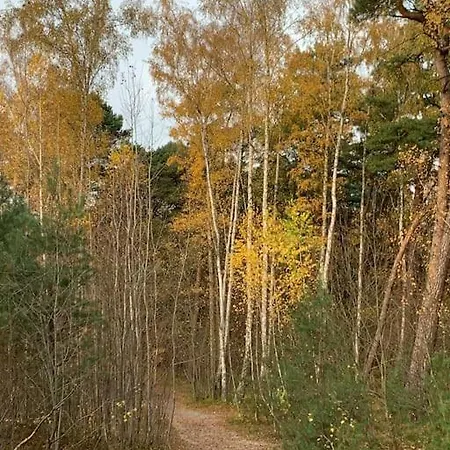 Holiday home Mulberry House