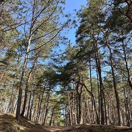 Prázdninový dům Mulberry House Gdaňsk