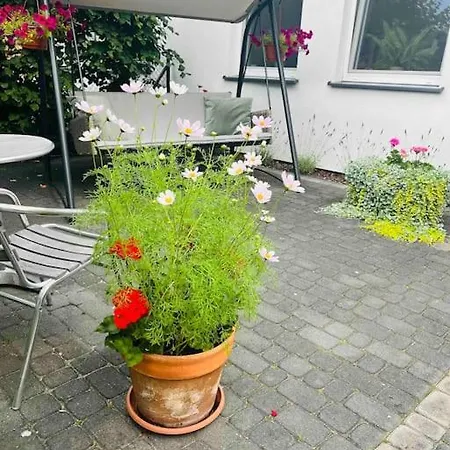 Prázdninový dům Mulberry House