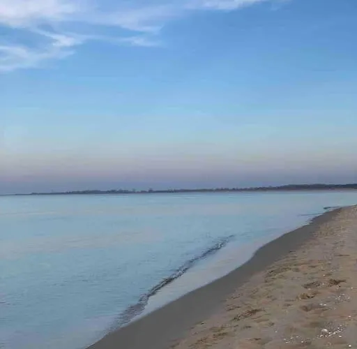 Mulberry House Gdansk