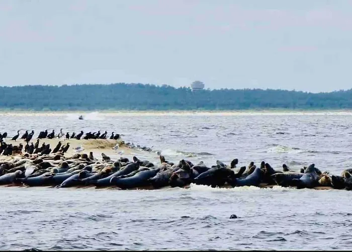 Mulberry House * Gdansk