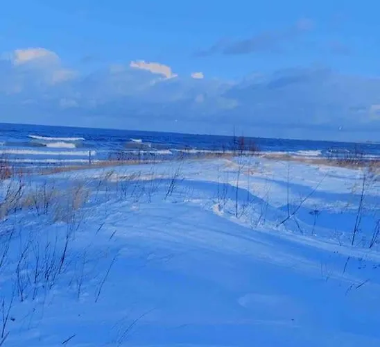 Dom wakacyjny Mulberry House *