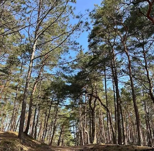 Dom wakacyjny Mulberry House Gdańsk