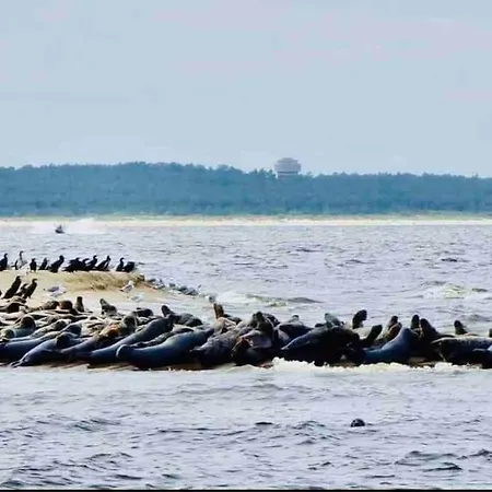Mulberry House * Gdańsk