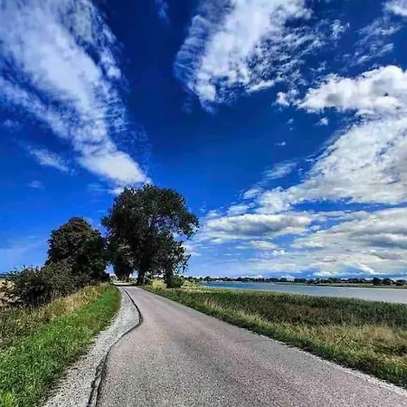 Mulberry House * Gdańsk