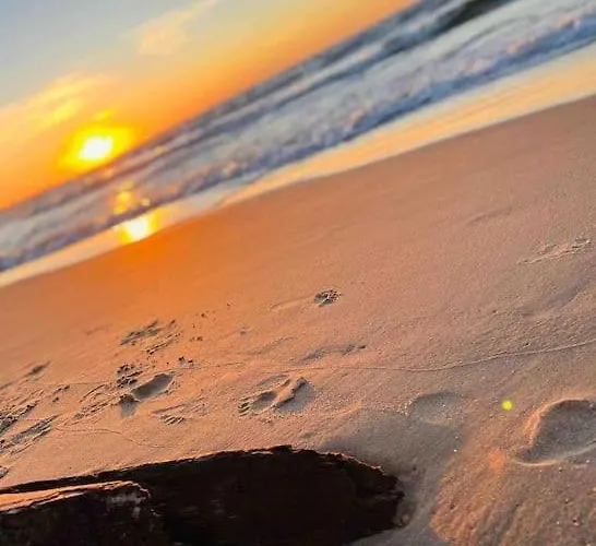 Semesterbostad Mulberry House Gdańsk