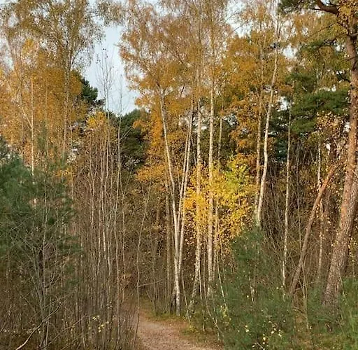 Semesterbostad Mulberry House