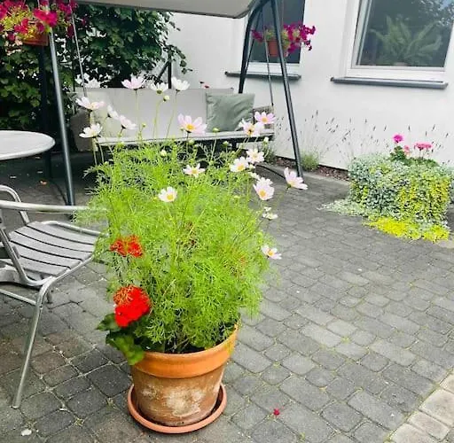 Semesterbostad Mulberry House